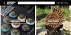 make bigcommerce website, bigcommerce clothing store