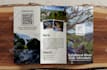 design professional marketing collateral for your brand