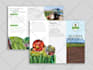 do professional trifold brochure design for you