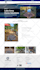 design develop and redesign a responsive wordpress website