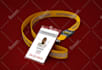 design professional id card within 24hours