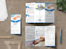 do a smart and creative brochure, report and profile for you