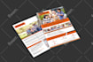 do flyer design as you seek