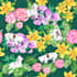 design stunning seamless surface pattern textile prints