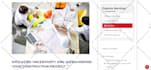 build high converting wordpress elementor landing page for sales and leads
