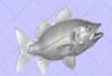 do 3d jewelry design, molding ready jewelry cad