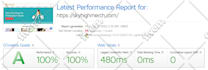 do shopify and wordpress website speed optimization