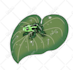 draw cute reptiles and bugs