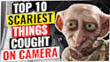 be a cash cow videos creator, do cash cow faceless videos and youtube automation