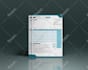 design professional invoice design template in 4 hour