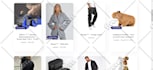 solve shopify theme bugs issue or any customization issue