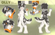 create a furry fursona reference sheet