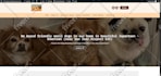 convert , design squarespace ,weebly, webflow, migrate wix to wordpress website