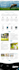 build an automated shopify website, or ecommerce drop shipping store site
