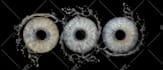 create an amazing unique iris art for you