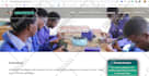 develop a responsive attractive wordpress website for your brand