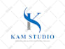 design a professional modern business logo with brand identity in 24 hours