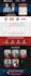 design a professional wordpress website for your business