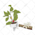 make illustration for coffee shop, cafe, and restaurant