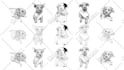 draw a professional dog or cat illustration for you