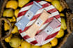 design food wrappers, protein bar packaging, and chocolate wrapper