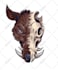 create custom animal illustration for tshirt design