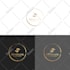 create creative text based logo