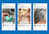 setup and manage ecommerce facebook ads campaign instagram ads shopify meta ads