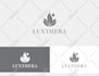 design premium logo and brand style guide