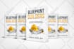design a professional book cover, KDP cover, ebook and paperback cover