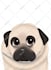 draw your lovely pet into disney cartoon portrait