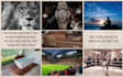 design personalized vision board to reach your goals