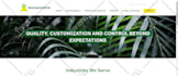 build wordpress website design and website development