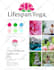 create a canva brand board for you