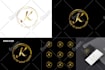 design trendy custom logo with brand identity style guidelines