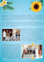 design creative flyer and brochure for you