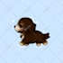 draw cute kawaii animal pet chibi