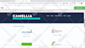 design wix store for you business