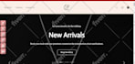 build and design, redesign ecwid website