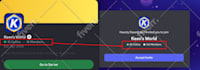 professional discord server growth, discord server promotion