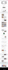 design wordpress landing page, elementor pro landing page, landing page design