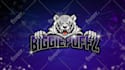 design twitch overlay and logo for streaming