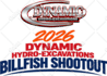 design a custom logo