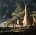 design 3d game environment game level design in unreal engine unity blender