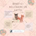 design anything on canva