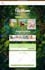 build responsive professional wordpress website design or blog website