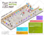 make a map for your wedding, birthday, amusement park, etc