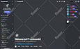 setup a professional discord server with bots and security