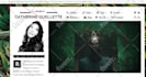 setup themeforest wordpress theme demo, plugin, security