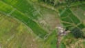 record exclusive nature drone videos for you